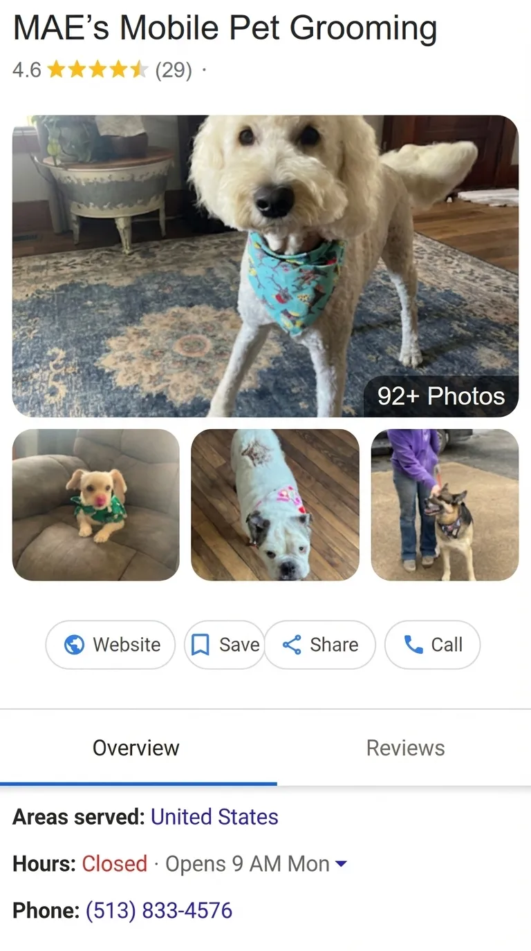 MAE's Mobile Pet Grooming Google profile before: 29 reviews